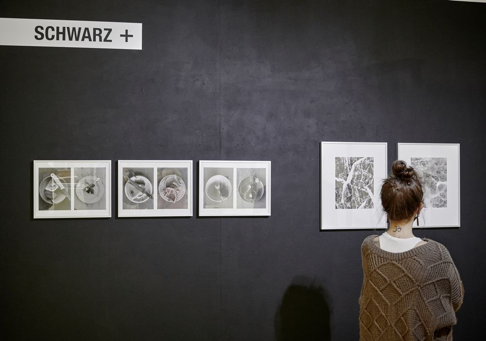 Summer School 2021 Ausstellungseröffnung b_suche in der Galerie SCHWARZ+ Greifswald
