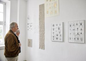 Summer School 2017Ausstellungseröffnung "Am Flugloch" Cirkus 11 Putbus