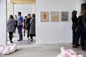 Summer School 2017Ausstellungseröffnung "Am Flugloch" Cirkus 11 Putbus