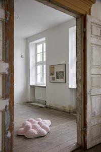 Summer School 2017Ausstellungseröffnung "Am Flugloch" Cirkus 11 Putbus