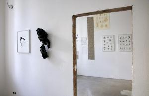 Summer School 2017Ausstellungseröffnung "Am Flugloch" Cirkus 11 Putbus