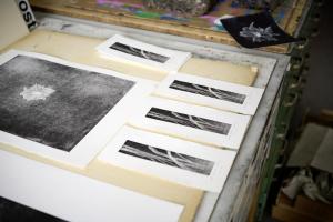 Foto: Thomas Häntzschel / nordlichtwww.fotoagenturnordlicht.de