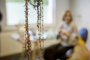 Foto: Thomas Häntzschel / nordlichtwww.fotoagenturnordlicht.de