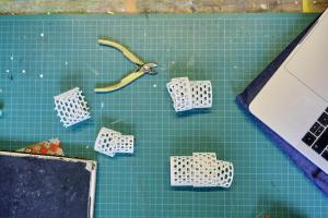 Foto: Thomas Häntzschel / nordlichtwww.fotoagenturnordlicht.de