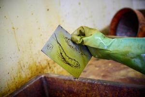 Foto: Thomas Häntzschel / nordlichtwww.fotoagenturnordlicht.de